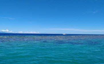 《海边》读后感6篇