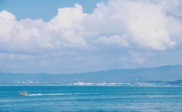 海曼教育活动方案优质8篇