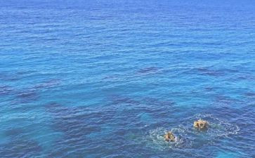 海监述职报告6篇