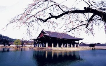 韩国申请书精选7篇