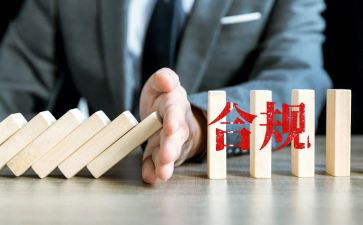 合规标兵事迹材料6篇