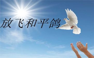 《和平》作文优质5篇