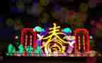 赏花灯活动方案7篇
