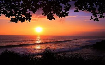 《怀念母亲》读后感7篇