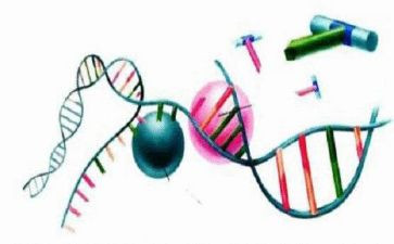 理化生组教研计划优秀5篇