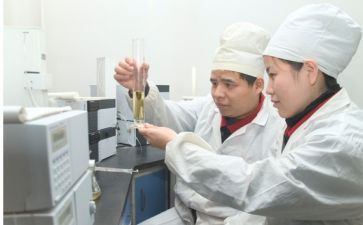 化验工作总结参考6篇
