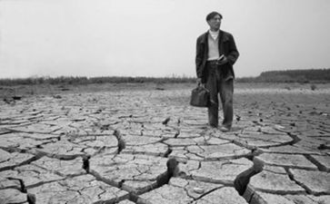 《野性的呼唤》的读后感8篇
