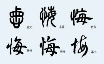 无悔为医演讲稿参考6篇