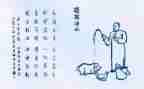 保护生态的演讲稿推荐7篇