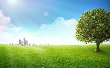 大班户外体育教案7篇