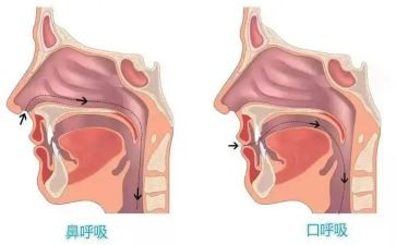 呼吸科医生工作总结5篇