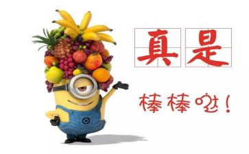 区嘉奖事迹材料参考5篇