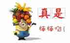 区嘉奖事迹材料参考5篇