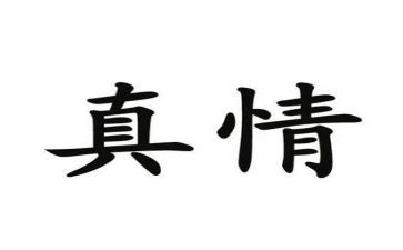 山的真情演讲稿6篇
