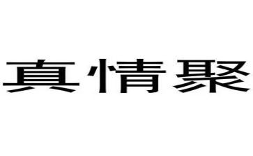 真情在——中作文模板6篇