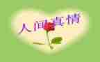 真情类作文推荐5篇