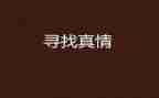 真情类作文模板5篇
