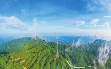 抓党的政治建设心得体会6篇