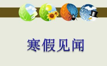 新年见闻作文400字参考5篇