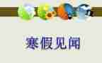 新年见闻作文400字参考5篇