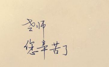教师述职报告范文模板7篇