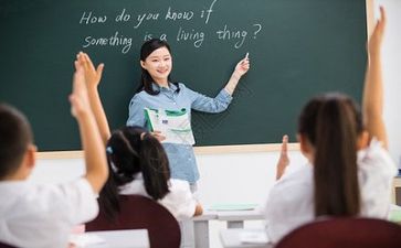 教师述职总结模板5篇