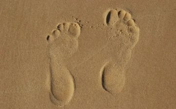 幼儿园小脚印教案7篇