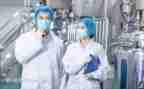 做技术的写总结报告通用7篇