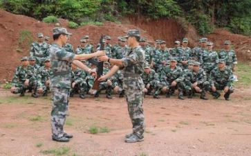 集训的心得体会6篇