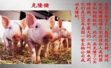 我被克隆了作文400字6篇