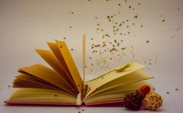 小学生课外班现状调查报告5篇