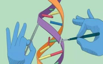 科学发展的心得体会优秀5篇