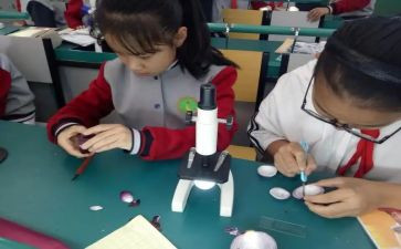彩虹科学课教案5篇