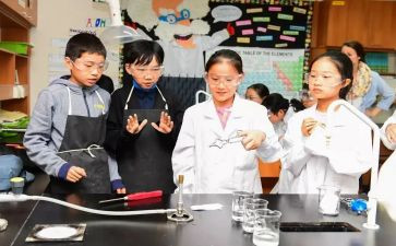 小学科学课培训心得体会7篇