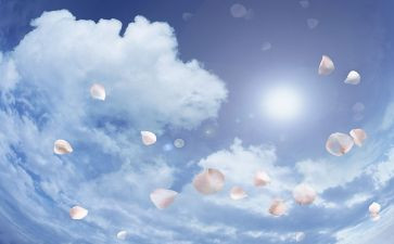 空气污染的调查报告通用5篇