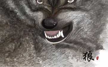 《狼》读后感300字最新6篇