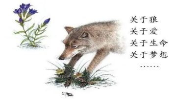 狼王梦心得推荐8篇