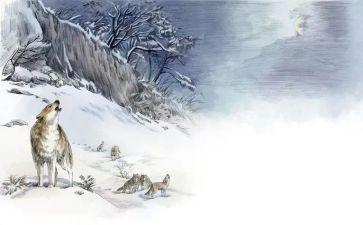 读《狼王梦》心得体会8篇