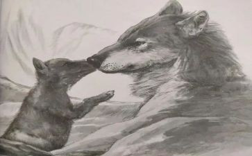 读《狼王梦》有感作文7篇