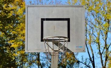 看篮球心得推荐8篇