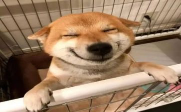 初中音乐个人教学总结8篇