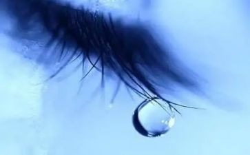 风中的泪作文参考5篇