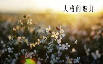 语言魅力演讲稿6篇