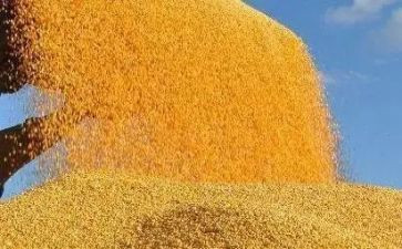 节约粮食主题班会教案5篇