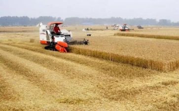 粮食仓储述职报告5篇
