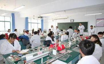 理化生教研组工作总结最新7篇