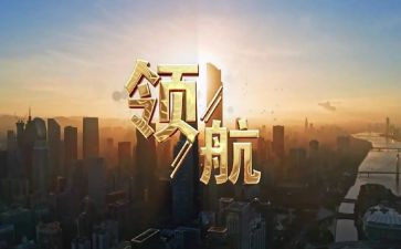 观看领航的心得体会8篇