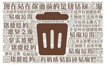 垃圾分类主题的作文8篇