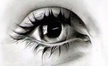 他流泪了作文500字6篇