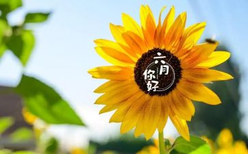 六月份幼儿园工作总结模板8篇
